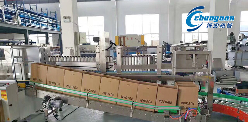 裝箱機(jī)，挑選裝箱機(jī)，純?cè)囱b箱機(jī)，純?cè)礄C(jī)械